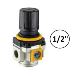 1/2" - 6000 l/min - Drukregelaar met ingebouwde manometer
