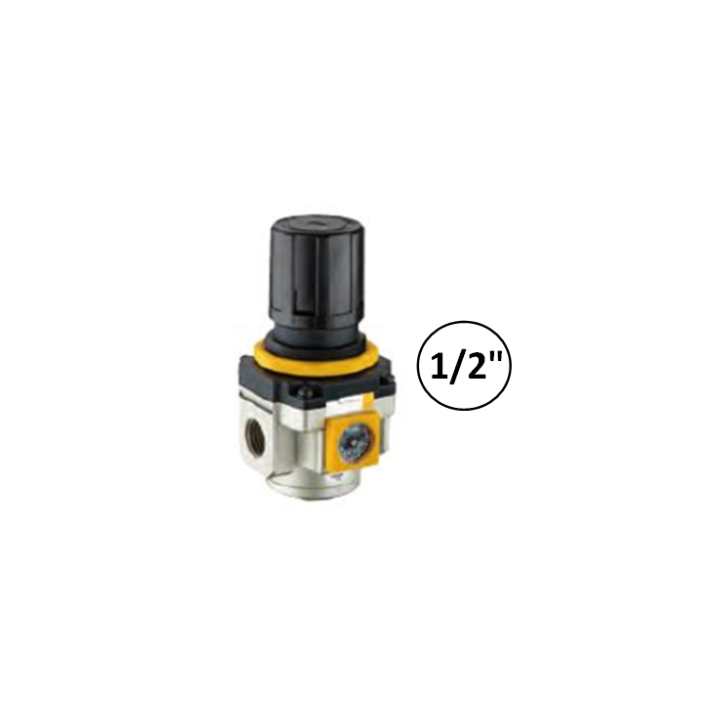 1/2" - 6000 l/min - Drukregelaar met ingebouwde manometer