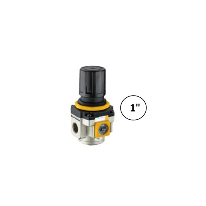 1" - 8000 l/min - Drukregelaar met ingebouwde manometer