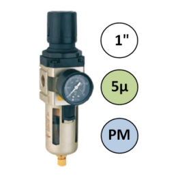 1" - 7000 l/min - 5µ - PM - Filter Drukregelaar + manometer