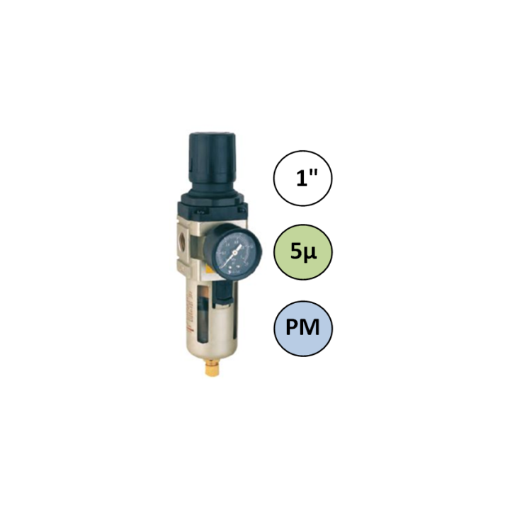 1" - 7000 l/min - 5µ - PM - Filter Drukregelaar + manometer