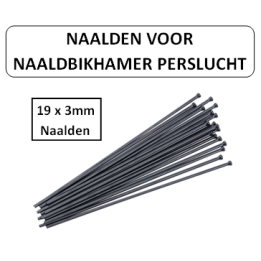 19 x 3mm Naalden - Voor naaldbikhamer perslucht