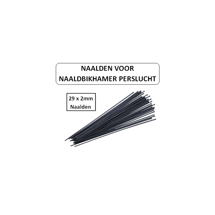 29 x 2mm Naalden - Voor naaldbikhamer perslucht